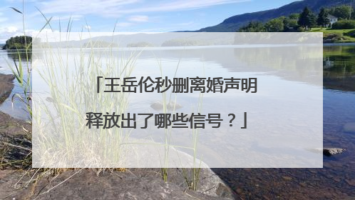 王岳伦秒删离婚声明释放出了哪些信号？
