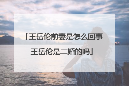 王岳伦前妻是怎么回事 王岳伦是二婚的吗