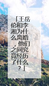 王岳伦和李湘为什么离婚,他们之间究竟经历了什么?