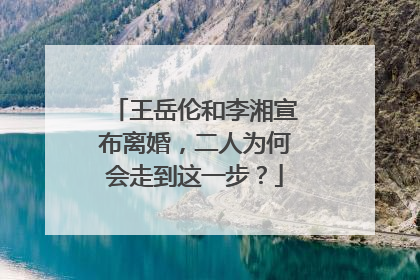 王岳伦和李湘宣布离婚,二人为何会走到这一步?
