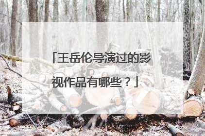 王岳伦导演过的影视作品有哪些？