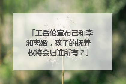 王岳伦宣布已和李湘离婚，孩子的抚养权将会归谁所有？