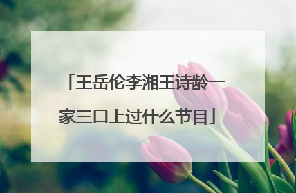 王岳伦李湘王诗龄一家三口上过什么节目