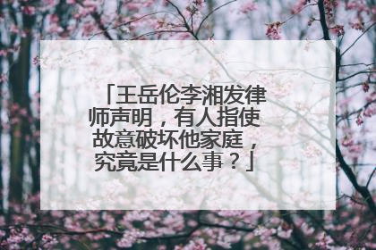 王岳伦李湘发律师声明，有人指使故意破坏他家庭，究竟是什么事？