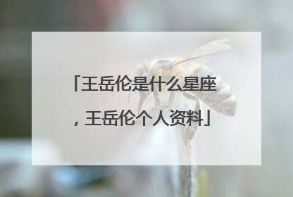 王岳伦是什么星座，王岳伦个人资料