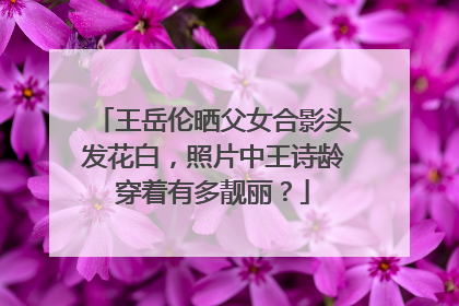 王岳伦晒父女合影头发花白,照片中王诗龄穿着有多靓丽?