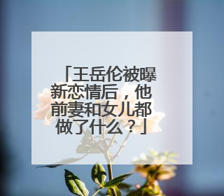 王岳伦被曝新恋情后，他前妻和女儿都做了什么？