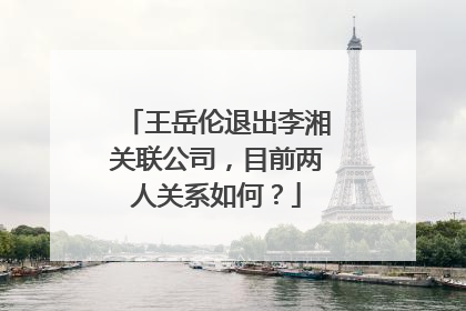 王岳伦退出李湘关联公司，目前两人关系如何？