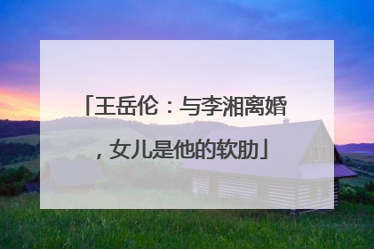 王岳伦：与李湘离婚，女儿是他的软肋