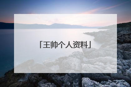 王帅个人资料