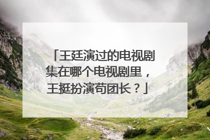 王廷演过的电视剧集在哪个电视剧里，王挺扮演苟团长？