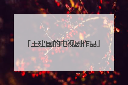 王建国的电视剧作品