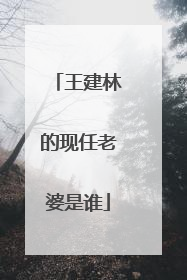 王建林的现任老婆是谁