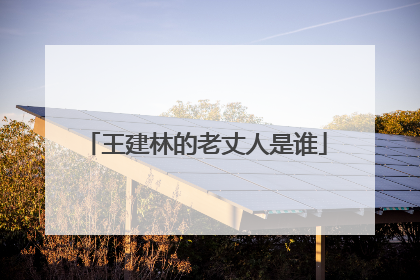 王建林的老丈人是谁