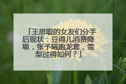王思聪的女友们分手后现状:豆得儿消费降级,张予曦跑龙套,雪梨过得如何?