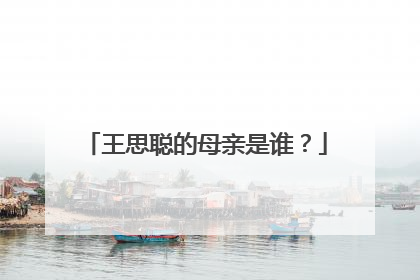 王思聪的母亲是谁？