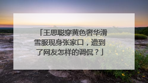王思聪穿黄色奢华滑雪服现身张家口，遭到了网友怎样的调侃？