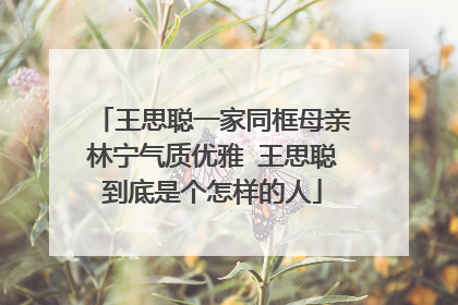 王思聪一家同框母亲林宁气质优雅 王思聪到底是个怎样的人