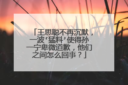 王思聪不再沉默，一波‘猛料’使得孙一宁卑微道歉，他们之间怎么回事？