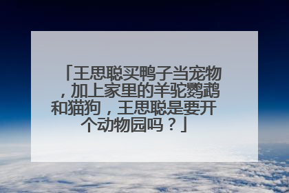 王思聪买鸭子当宠物，加上家里的羊驼鹦鹉和猫狗，王思聪是要开个动物园吗？