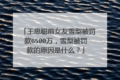 王思聪前女友雪梨被罚款6500万，雪梨被罚款的原因是什么？