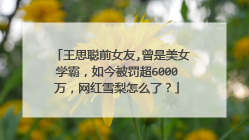 王思聪前女友,曾是美女学霸，如今被罚超6000万，网红雪梨怎么了？