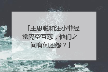王思聪和汪小菲经常隔空互怼，他们之间有何恩怨？
