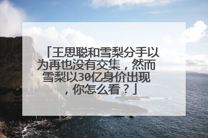 王思聪和雪梨分手以为再也没有交集，然而雪梨以30亿身价出现，你怎么看？