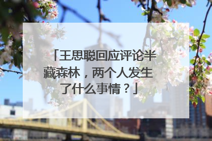 王思聪回应评论半藏森林，两个人发生了什么事情？