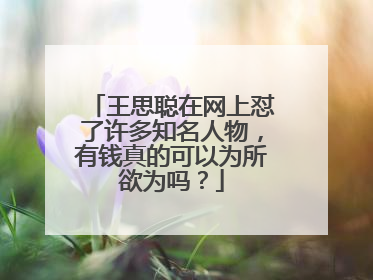 王思聪在网上怼了许多知名人物,有钱真的可以为所欲为吗?