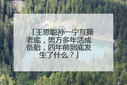 王思聪孙一宁互撕老底，男方多年活成备胎，四年前到底发生了什么？