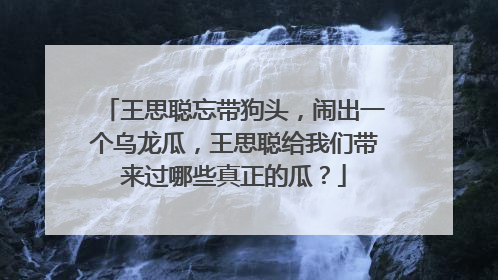 王思聪忘带狗头，闹出一个乌龙瓜，王思聪给我们带来过哪些真正的瓜？
