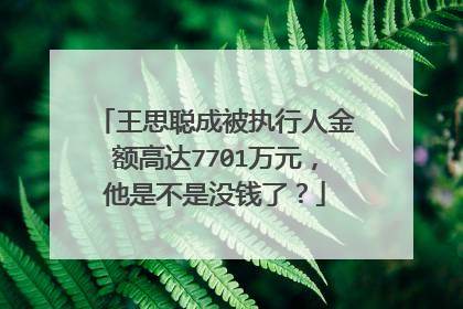 王思聪成被执行人金额高达7701万元,他是不是没钱了?