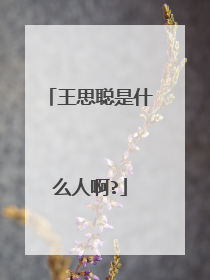 王思聪是什么人啊?