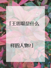 王思聪是什么样的人物?