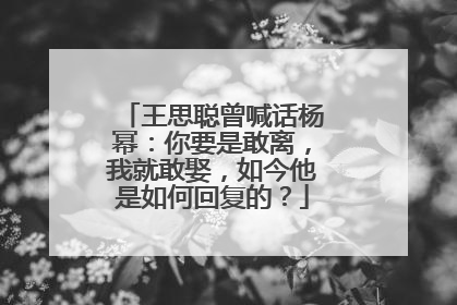 王思聪曾喊话杨幂:你要是敢离,我就敢娶,如今他是如何回复的?
