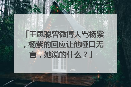 王思聪曾微博大骂杨紫,杨紫的回应让他哑口无言,她说的什么?