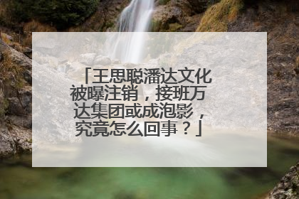 王思聪潘达文化被曝注销，接班万达集团或成泡影，究竟怎么回事？