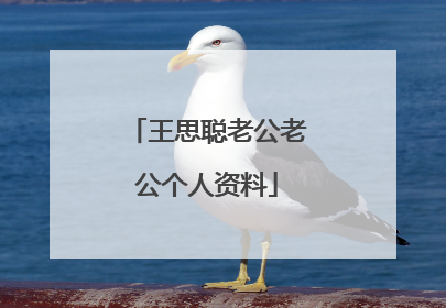 王思聪老公老公个人资料