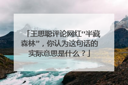 王思聪评论网红“半藏森林”，你认为这句话的实际意思是什么？