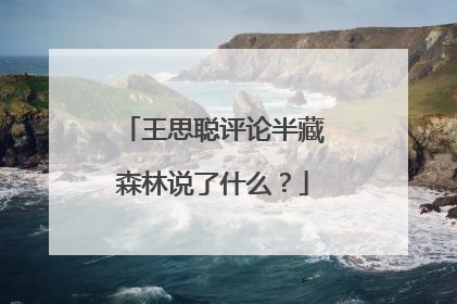王思聪评论半藏森林说了什么？