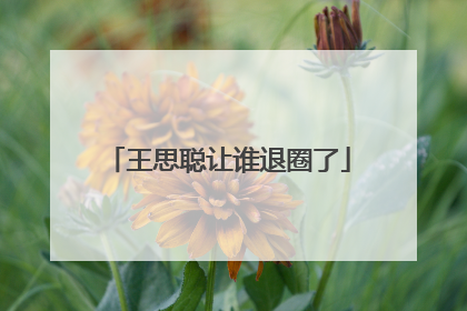 王思聪让谁退圈了