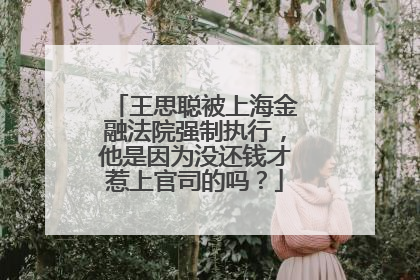 王思聪被上海金融法院强制执行,他是因为没还钱才惹上官司的吗?