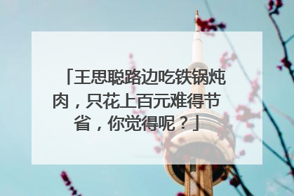 王思聪路边吃铁锅炖肉，只花上百元难得节省，你觉得呢？