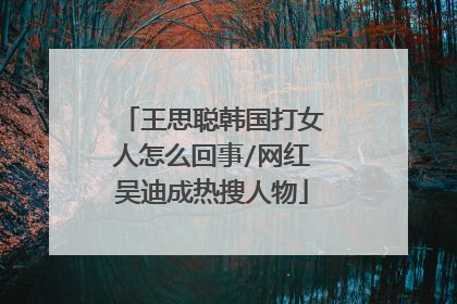 王思聪韩国打女人怎么回事/网红吴迪成热搜人物