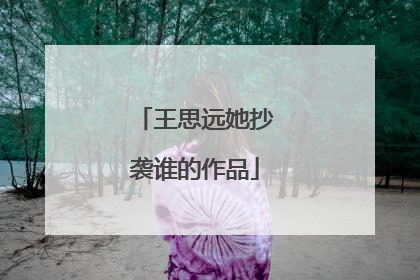 王思远她抄袭谁的作品