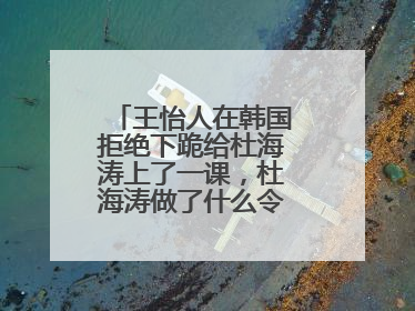 王怡人在韩国拒绝下跪给杜海涛上了一课,杜海涛做了什么令网友愤怒?