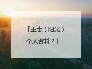 王惠(阳光)个人资料?