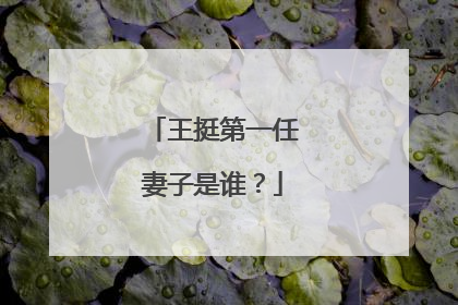 王挺第一任妻子是谁？