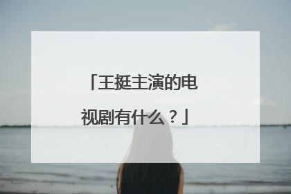 王挺主演的电视剧有什么?